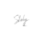 Own Your Name Necklace – Zodiac Silver with Hammered Chain