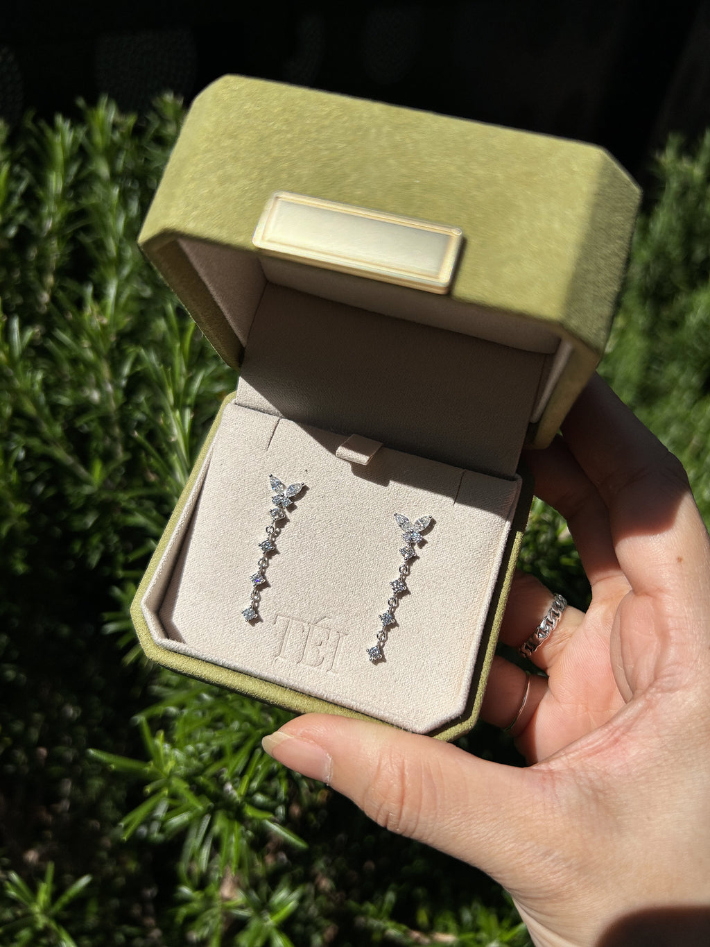 Butterfly Duo Earrings