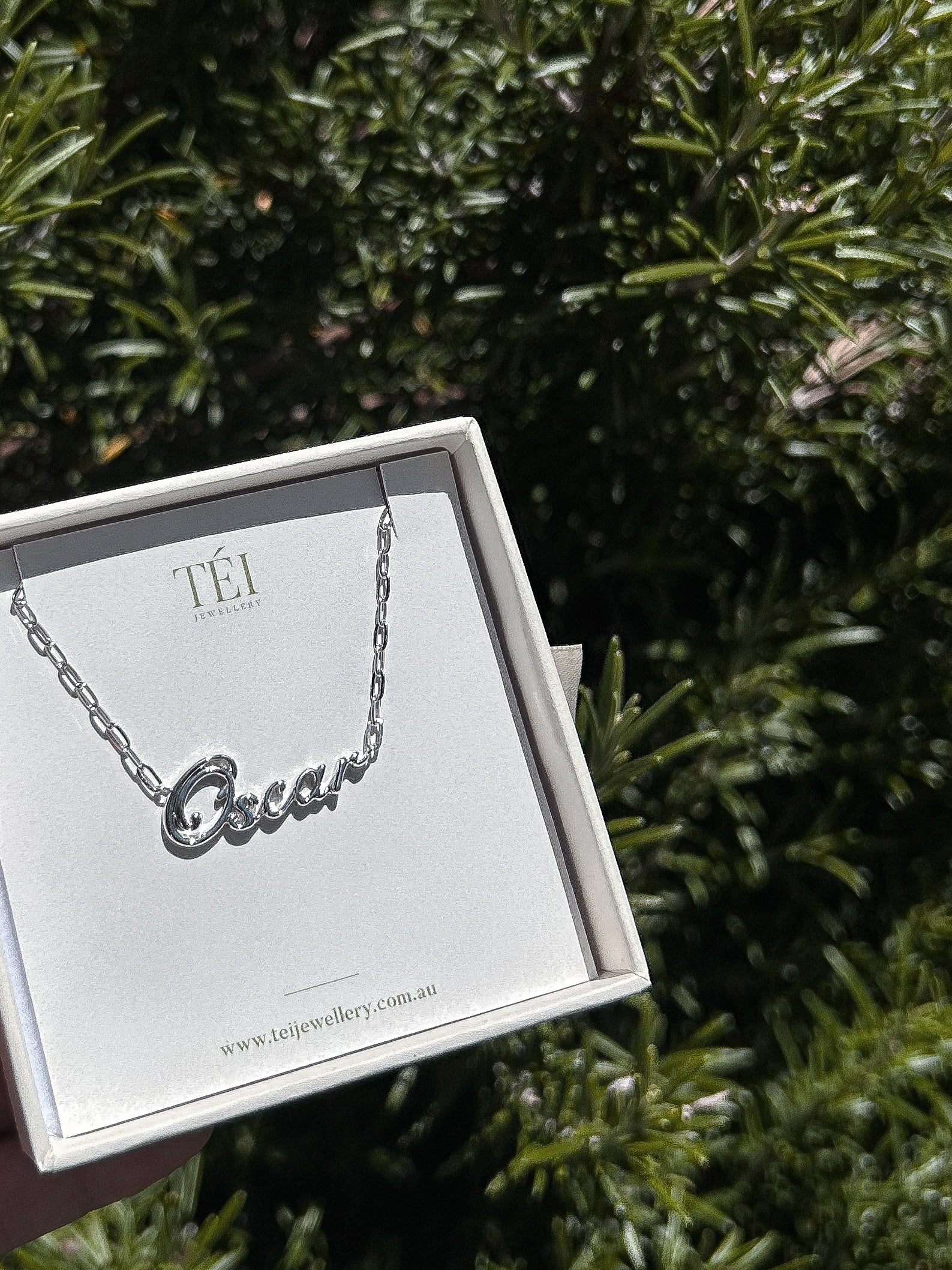 Own Your Name Bracelet – Zodiac Silver with Hammered Chain