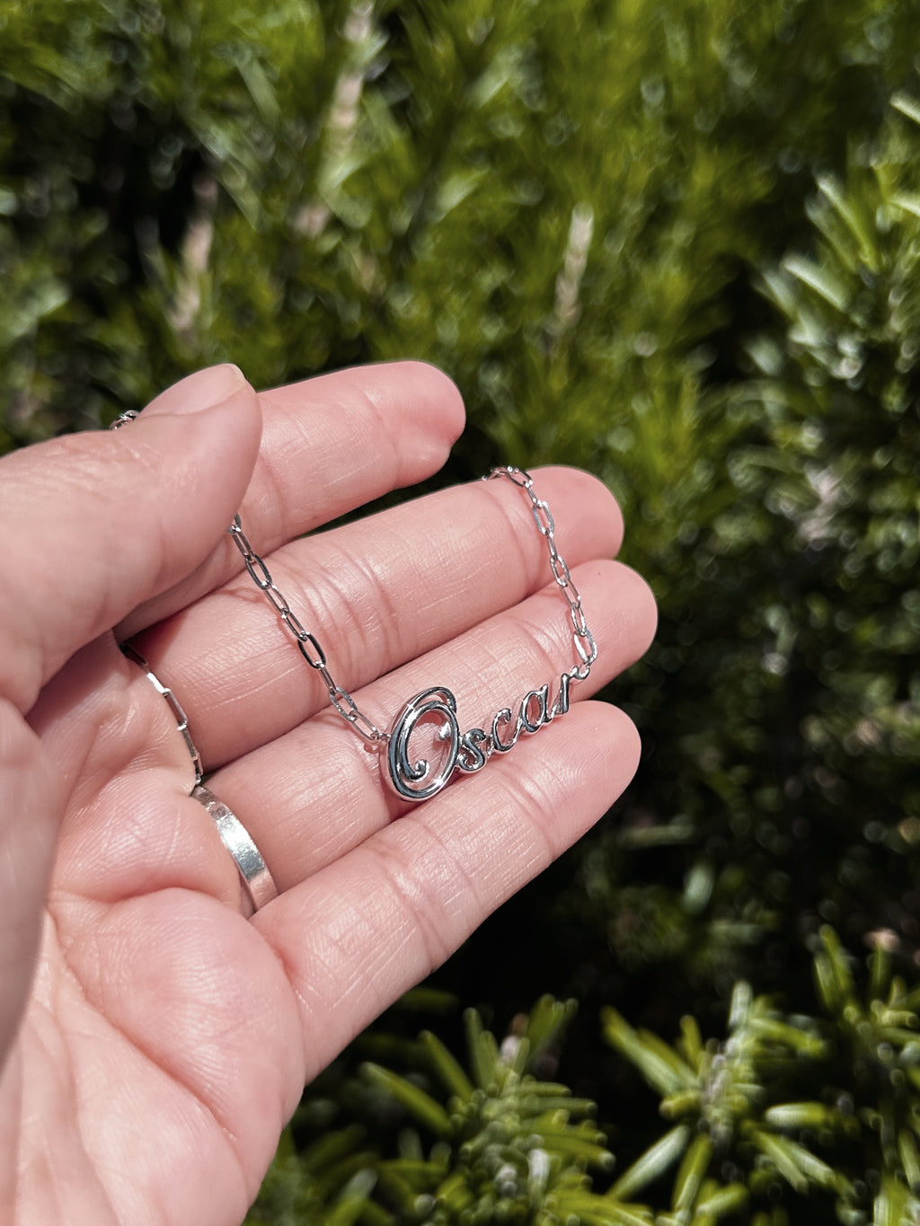 Own Your Name Necklace – Zodiac Silver with Hammered Chain