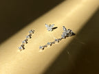 Butterfly Duo Earrings