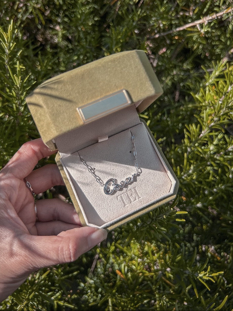 Own Your Name Necklace – Zodiac Silver with Hammered Chain